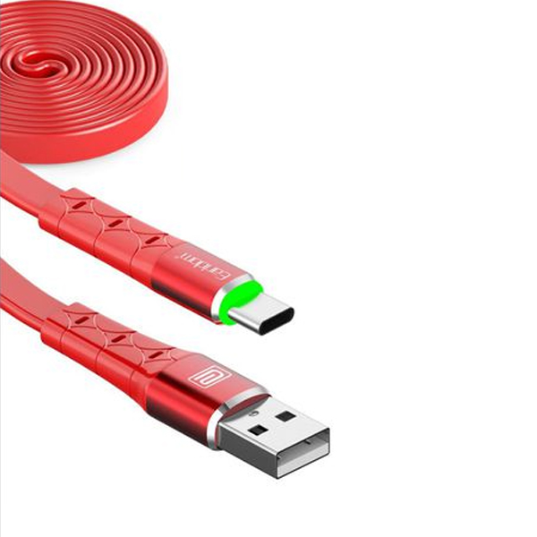 Earldom Fast Charging Type C Cable